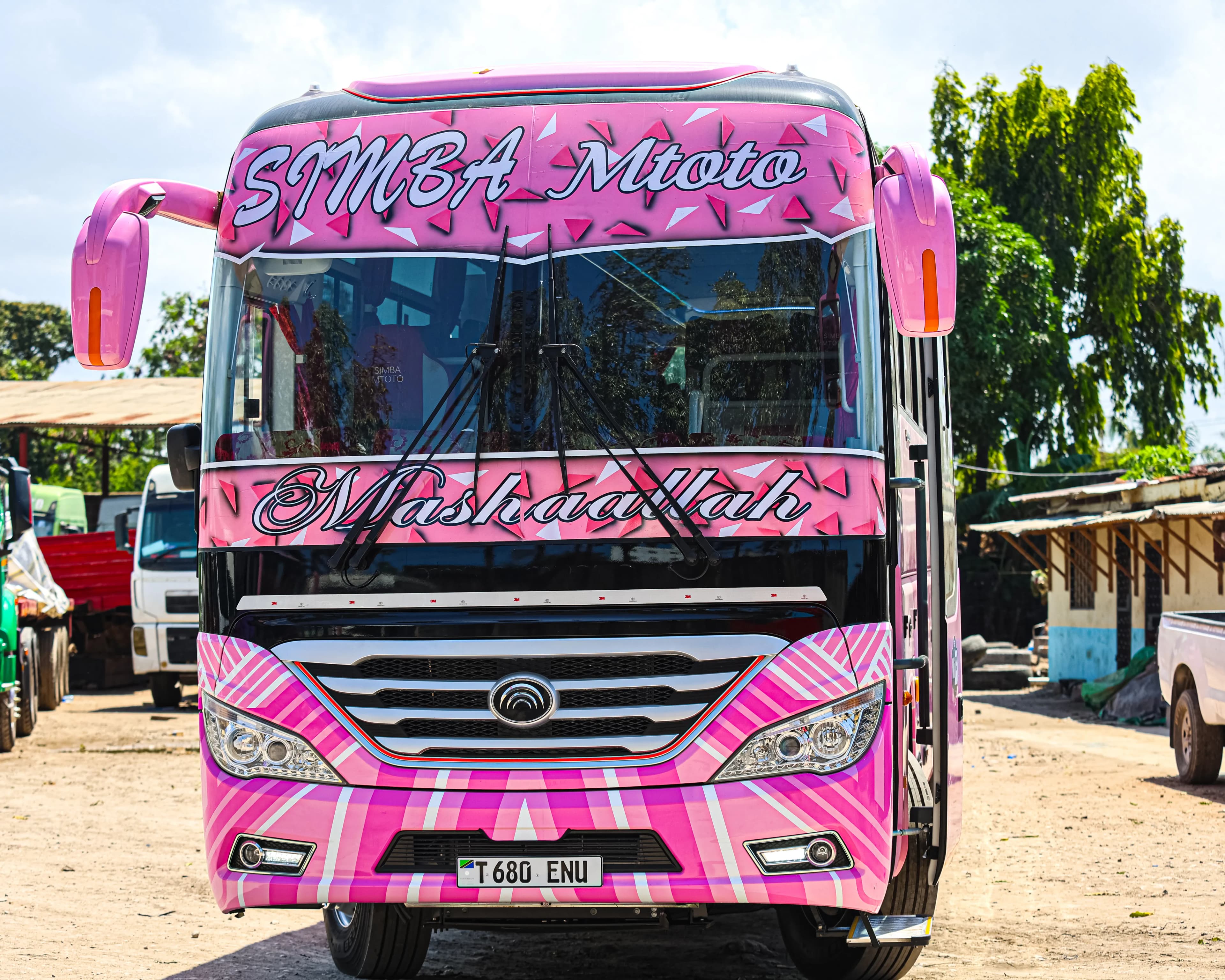 Simba Mtoto transport fleet